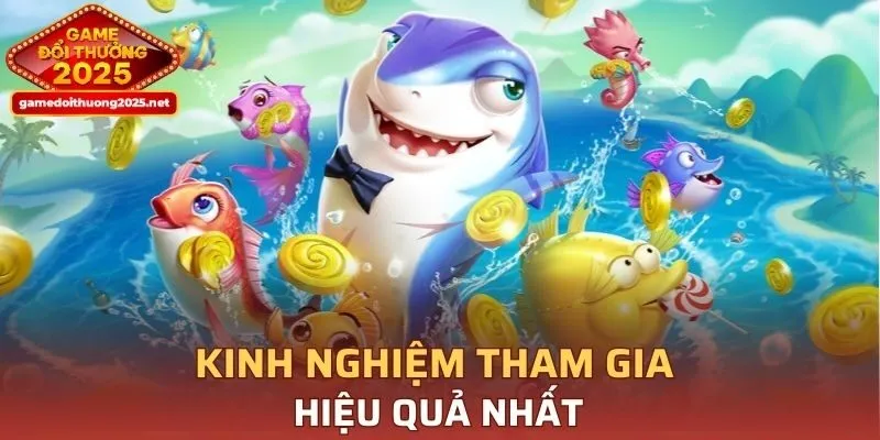 Kinh nghiệm tham gia hiệu quả nhất
