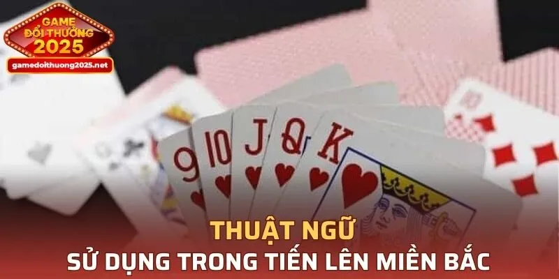 Những thuật ngữ sử dụng trong Tiến Lên Miền Bắc